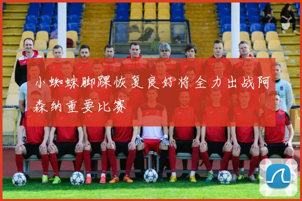 小蜘蛛脚踝恢复良好将全力出战阿森纳重要比赛